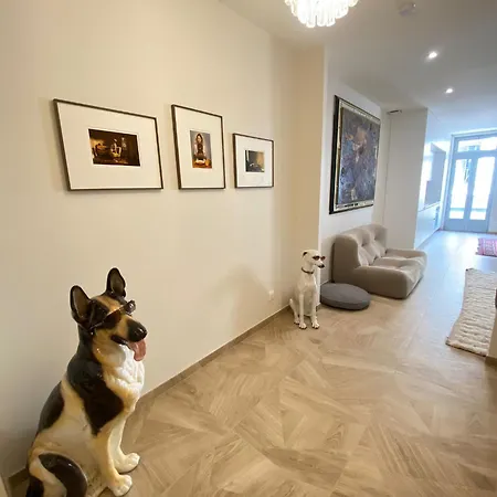 Les Chiens - Atypique T3 En Centre Ville, Wifi Sète