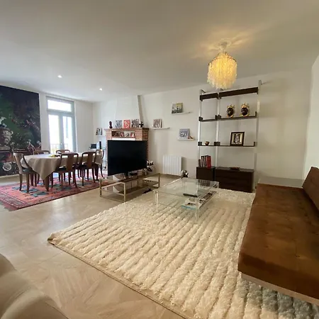 Les Chiens - Atypique T3 En Centre Ville, Wifi Apartmán